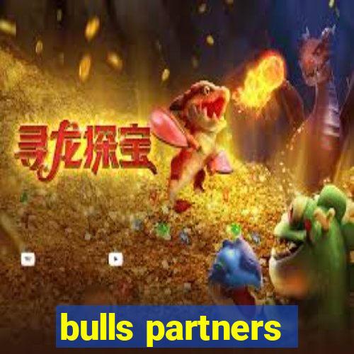 bulls partners